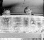 Red de seguridad Dometic Seitz